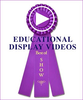 Education Display Videos: Best of Show